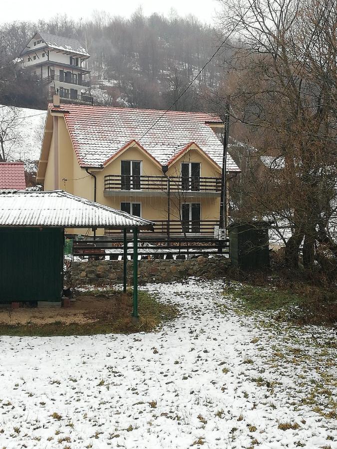Vila Vrh Crni Vrh Exterior foto